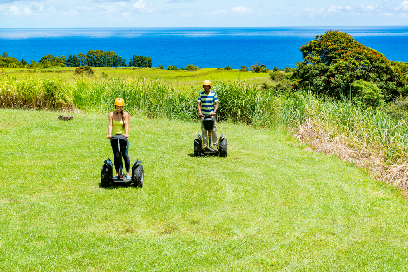 Botanical World Adventure S Kona Segway Tours Kailua Kona photo 1 in Kailua Kona
