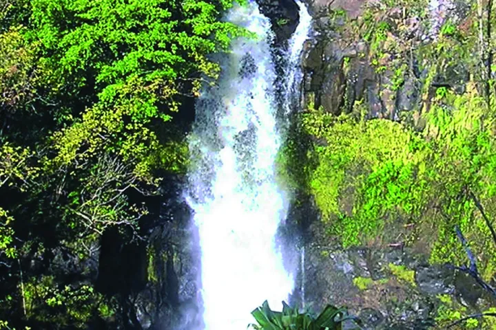 hawaii World Botanical Gardens