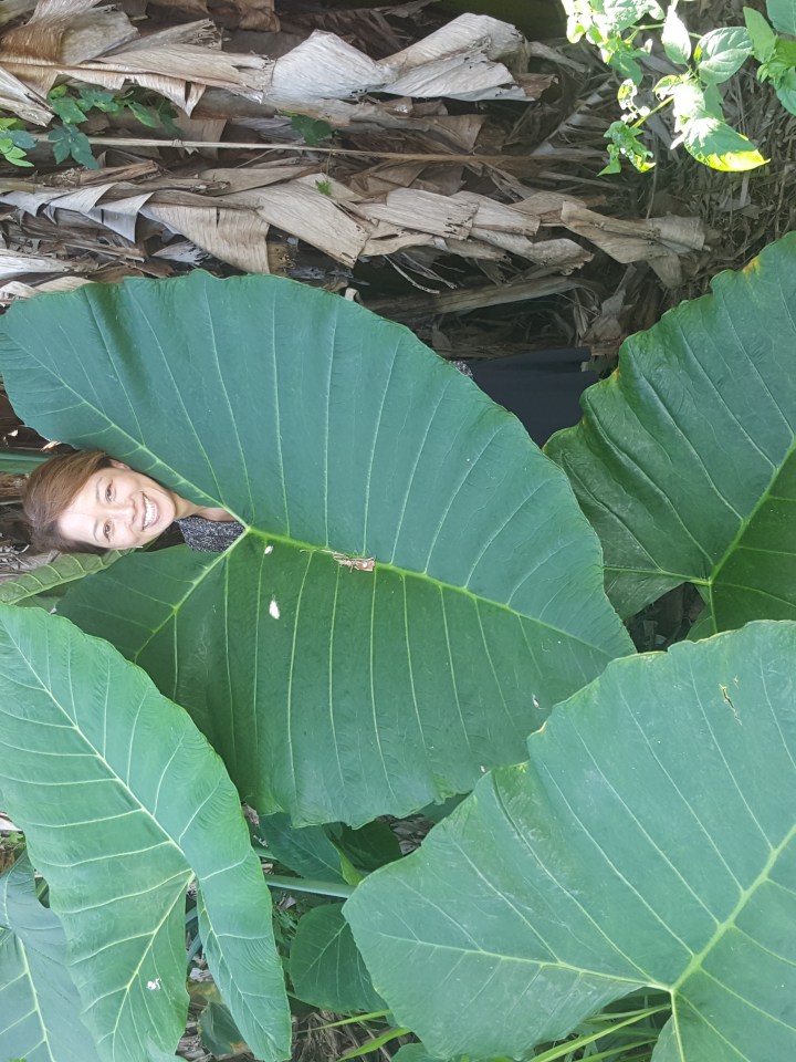 hawaii World Botanical Gardens