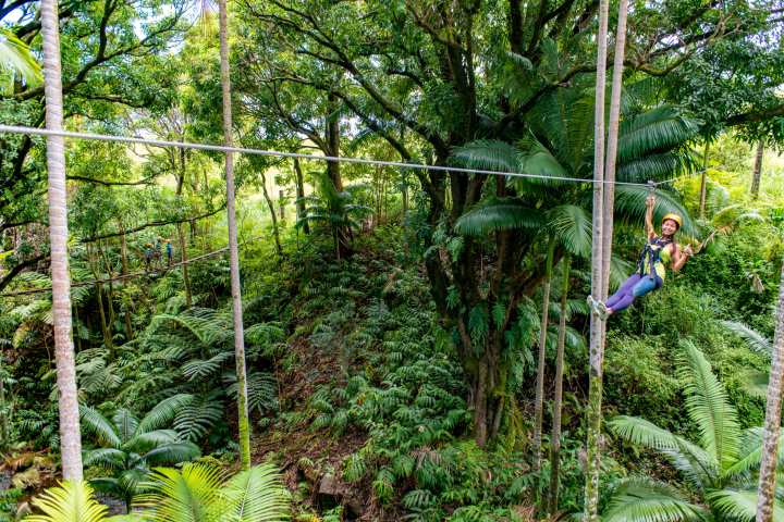 ziplining hawaii botanical world adventures