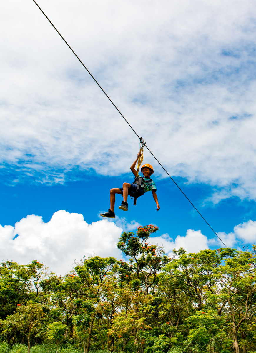 Big Island Hawaii Zipline Tours | Hakalau & Hilo | Botanical World