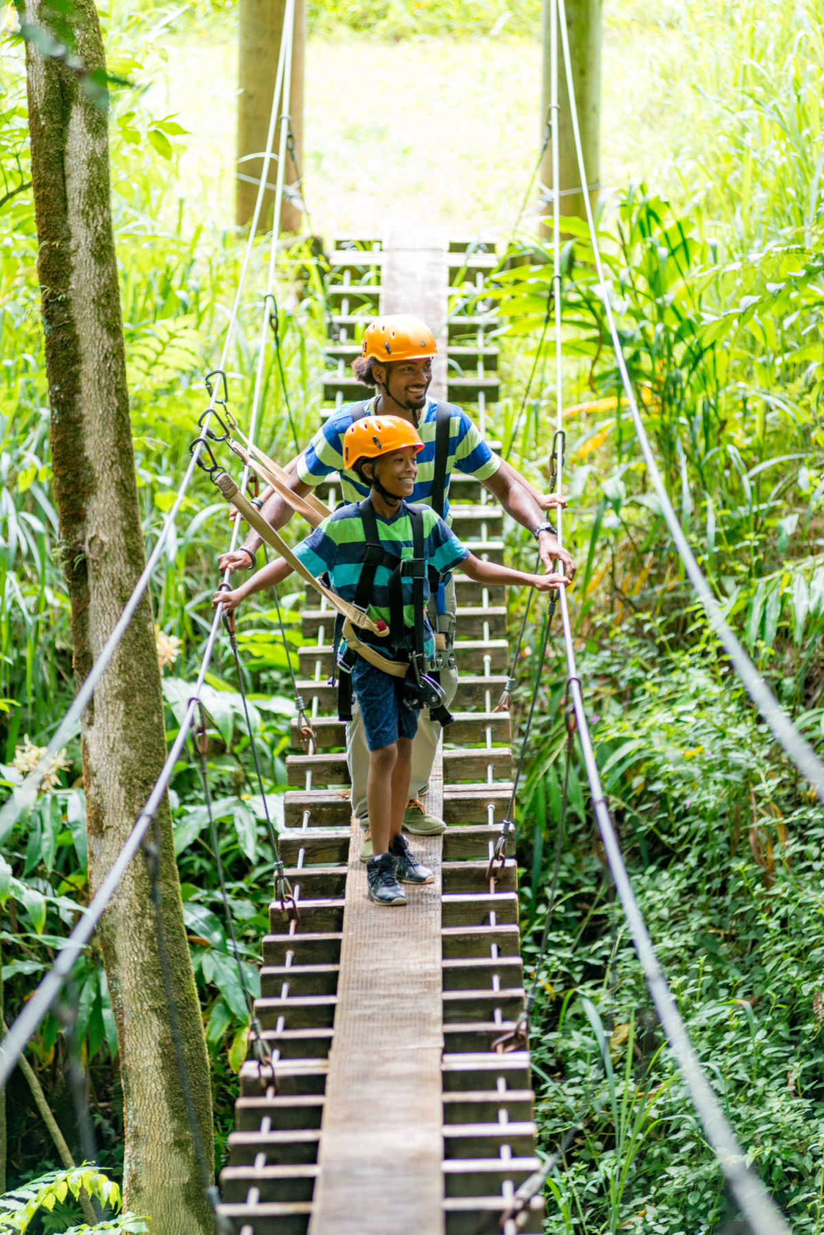 Botanical-Ziplineedit hawaii World Botanical Gardens