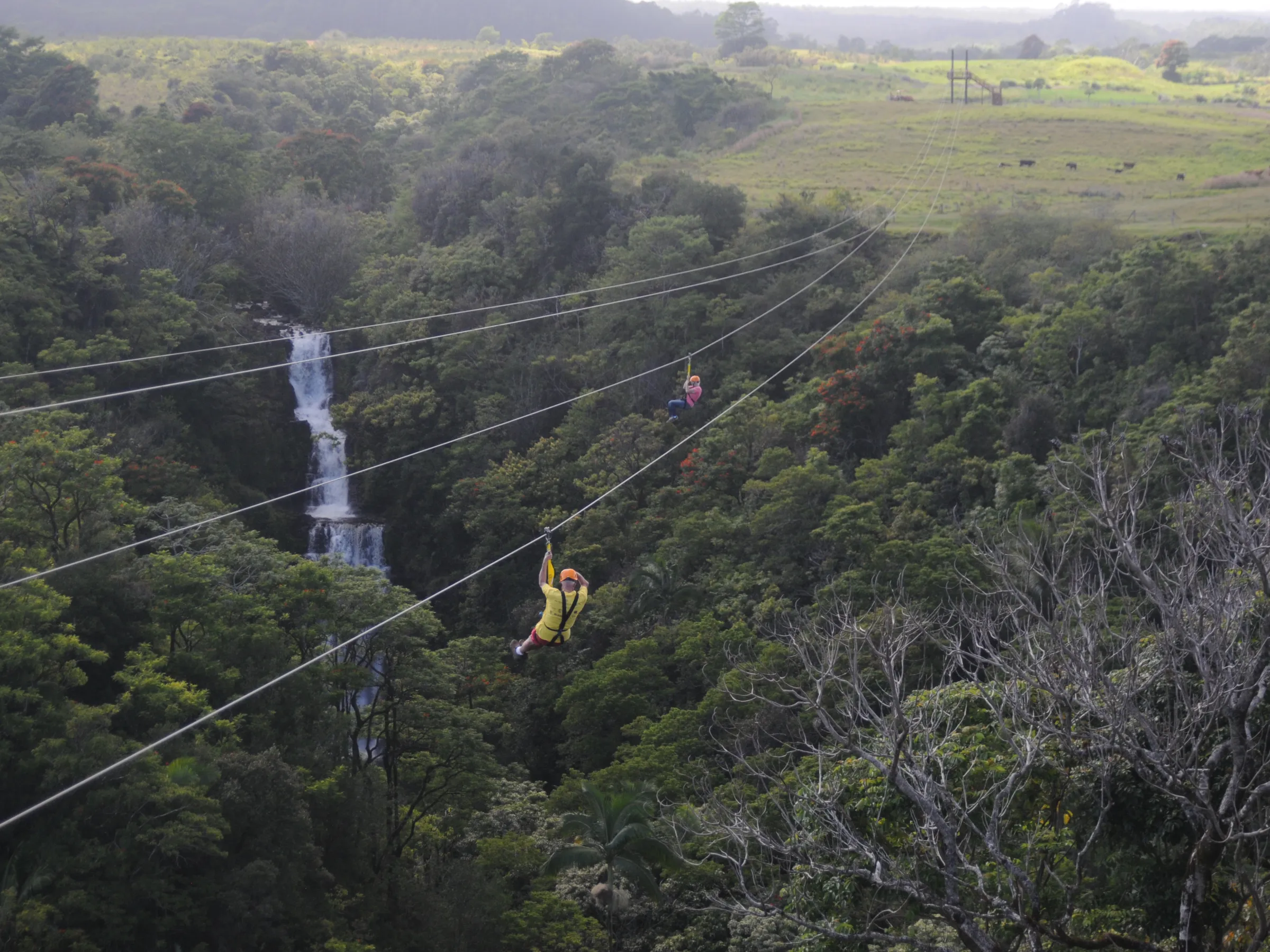 ziplining hawaii botanical world adventures