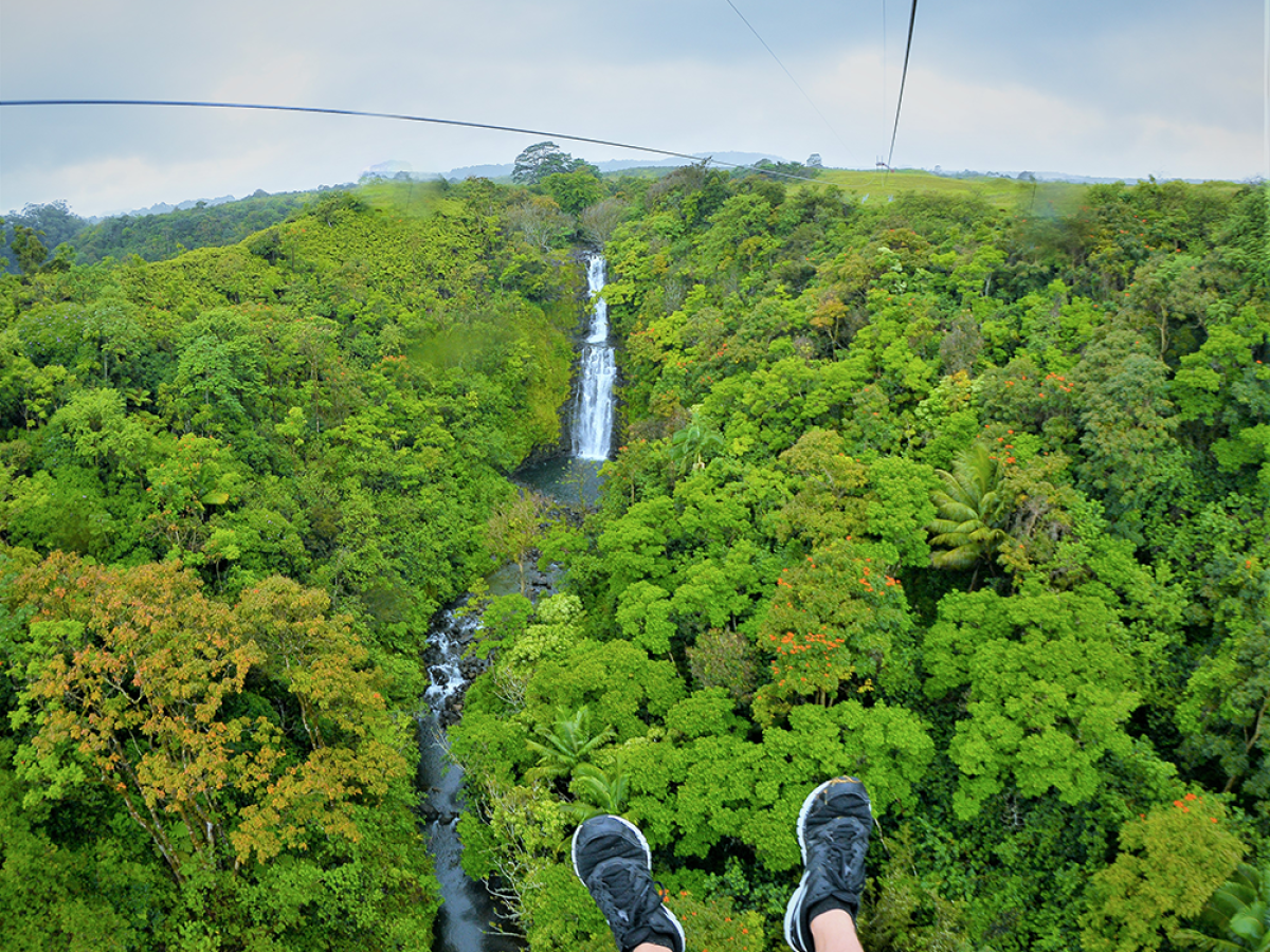 ziplining hawaii botanical world adventures