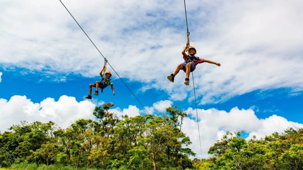 a group of people on a swing