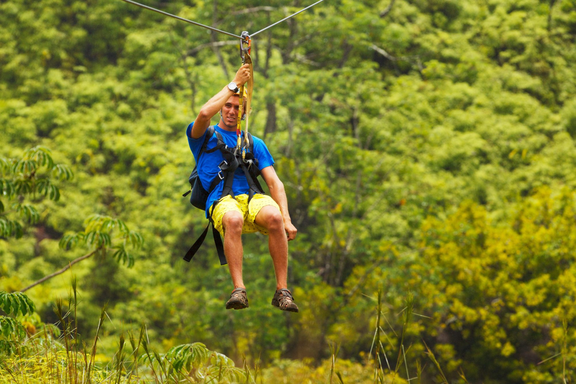 Zipline Zipline