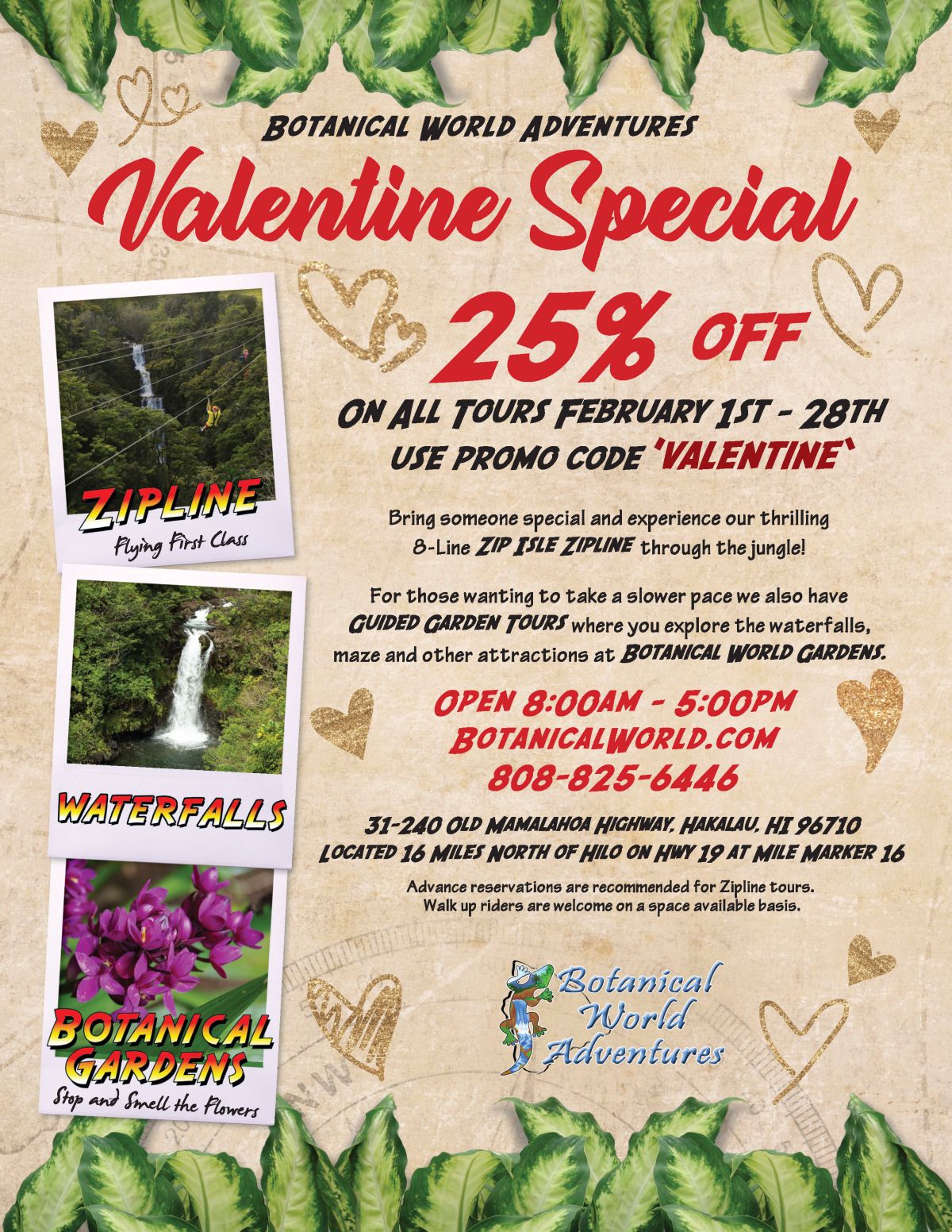 Valentine's Day sale poster: 25% off Botanical World tours, zipline, garden, waterfalls, Feb 1-28, with promo code.