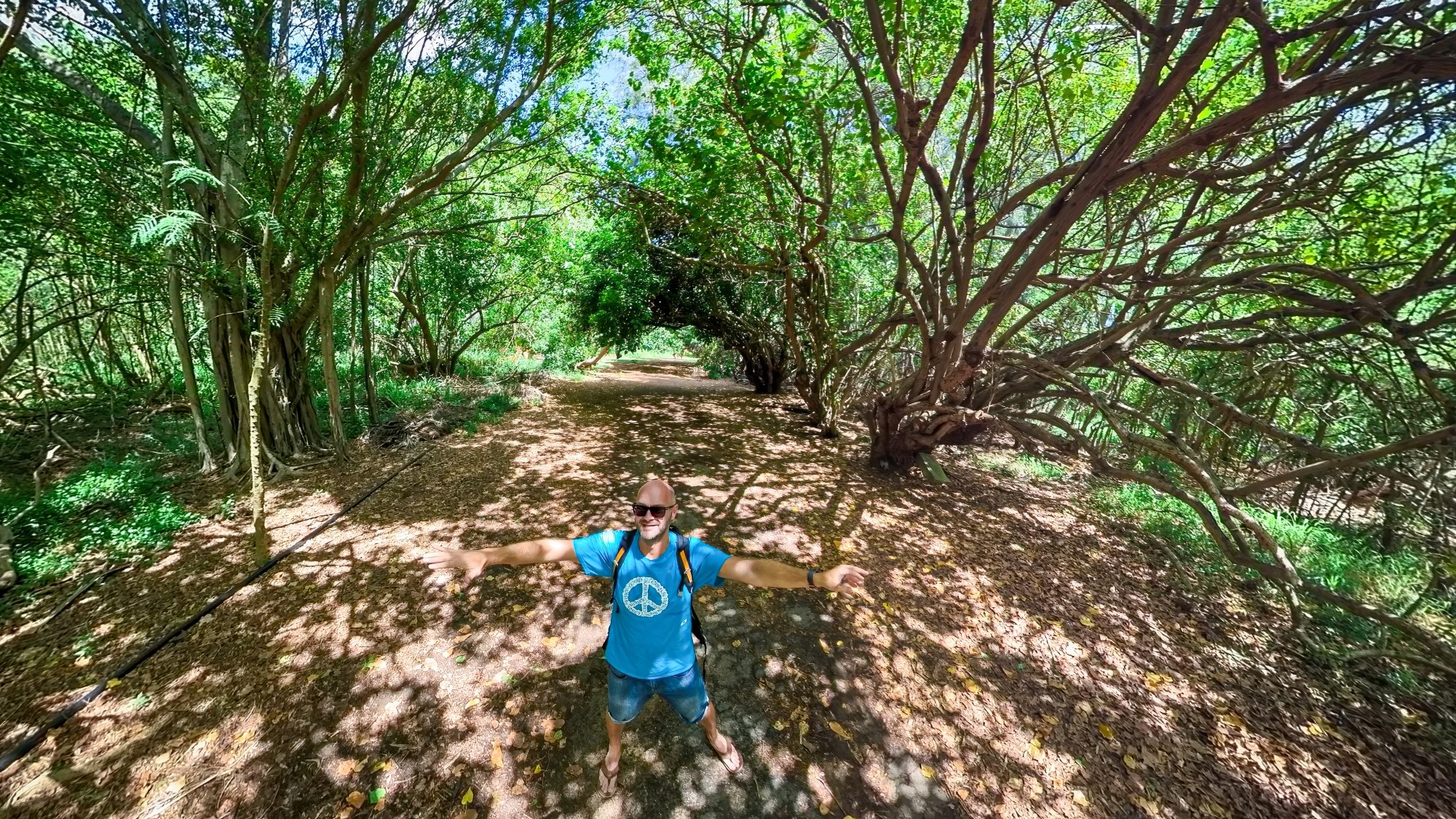 Cultural Events in hawaii Cultural Events in Hawaii You Can’t Miss