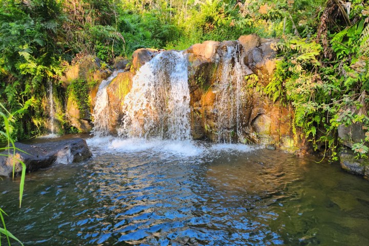 Small waterfall cascading over rocks into a clear pool surrounded by lush greenery.