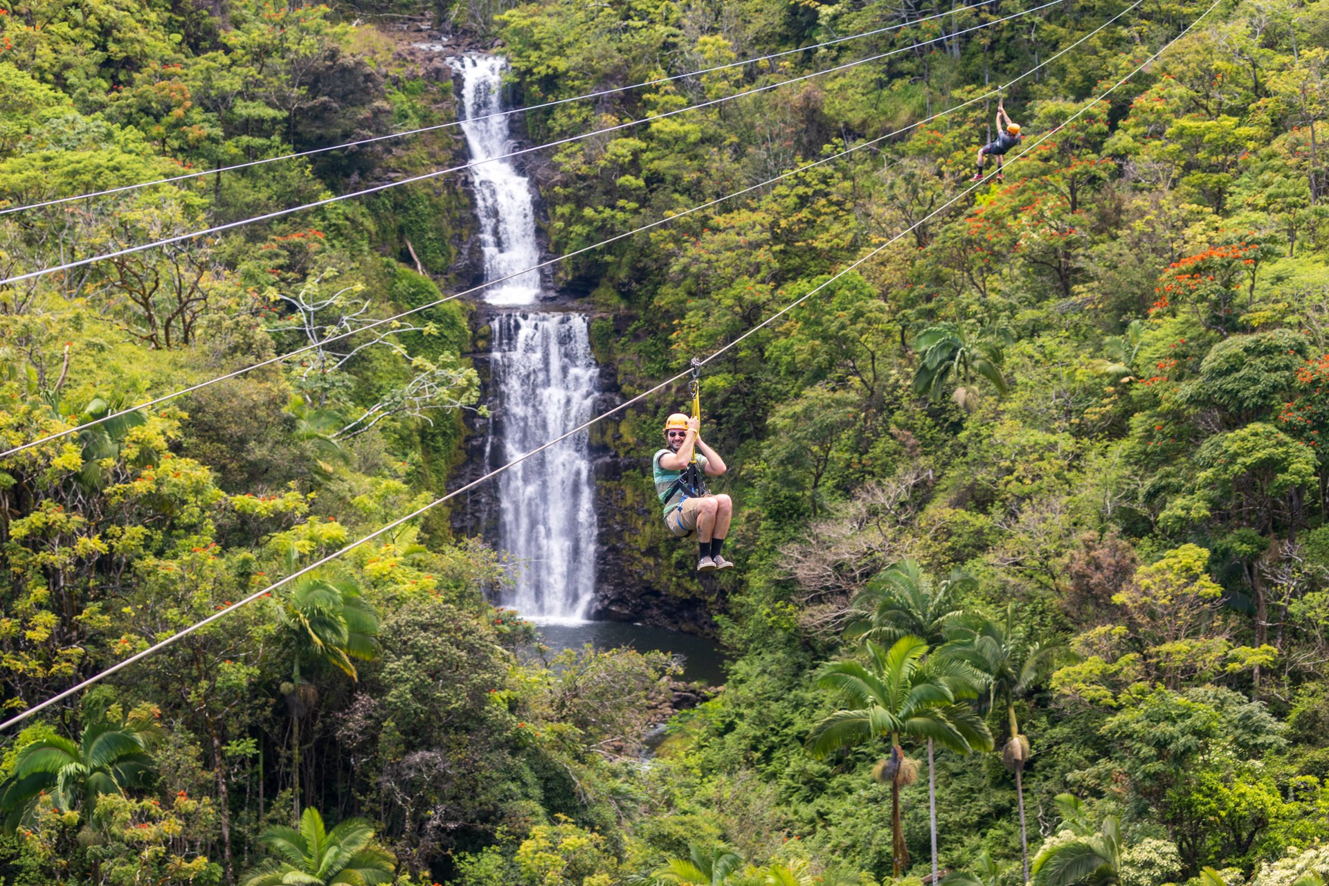 Ziplining With Hawaii’s Rainforest Ecosystem