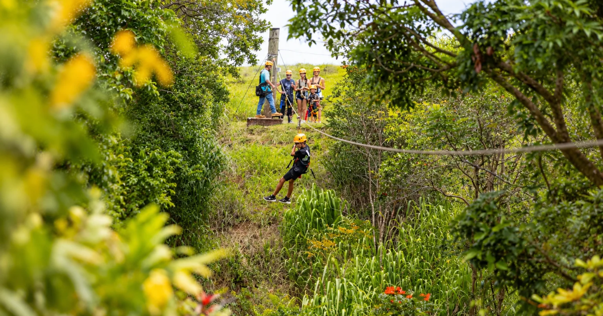 Person ziplining through a lush green forest, with onlookers in the background.